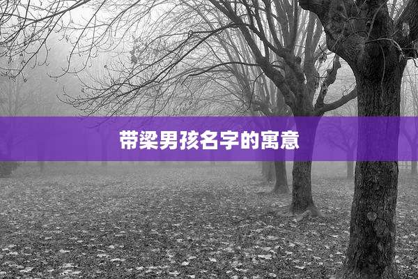 带梁男孩名字的寓意