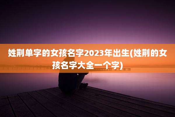 姓荆单字的女孩名字2023年出生(姓荆的女孩名字大全一个字)