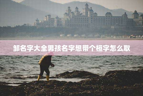 邹名字大全男孩名字想带个桓字怎么取