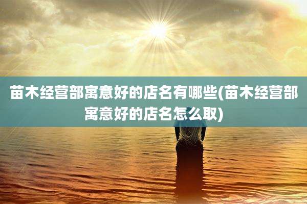 苗木经营部寓意好的店名有哪些(苗木经营部寓意好的店名怎么取)