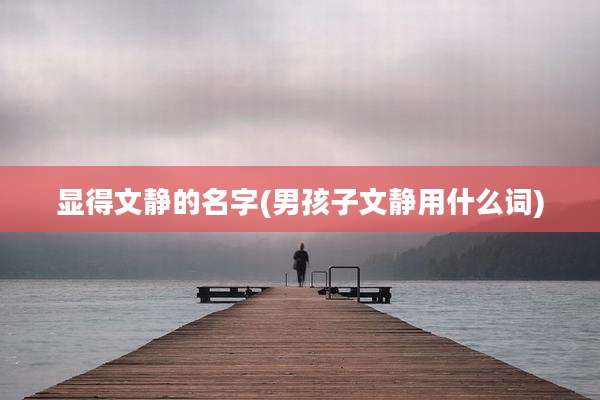 显得文静的名字(男孩子文静用什么词)