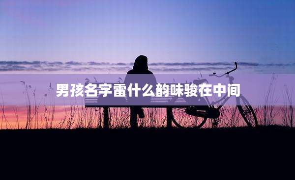 男孩名字雷什么韵味骏在中间