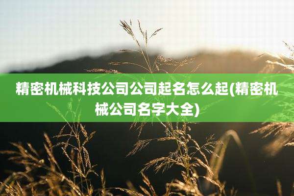 精密机械科技公司公司起名怎么起(精密机械公司名字大全)