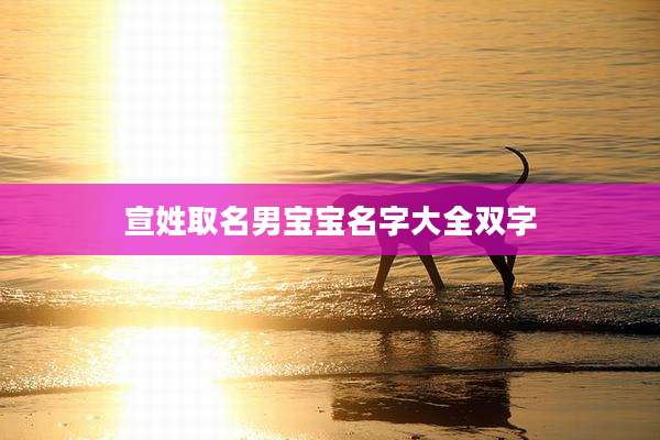宣姓取名男宝宝名字大全双字
