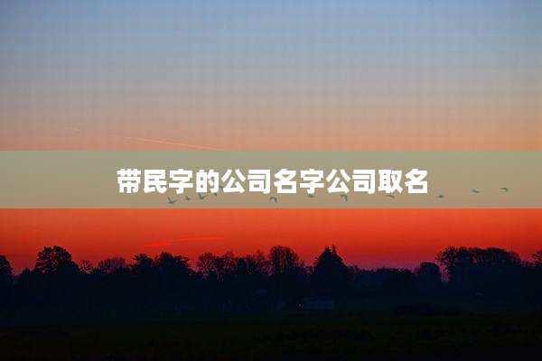 带民字的公司名字公司取名