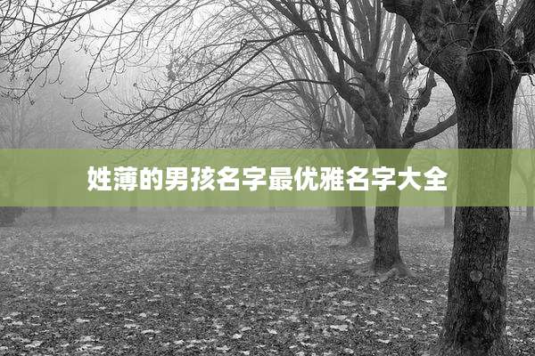 姓薄的男孩名字最优雅名字大全