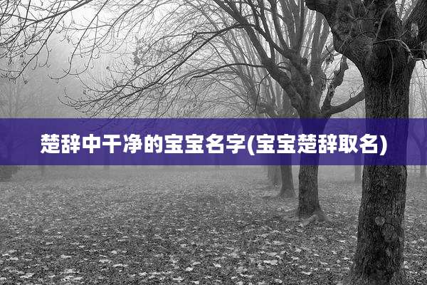 楚辞中干净的宝宝名字(宝宝楚辞取名)