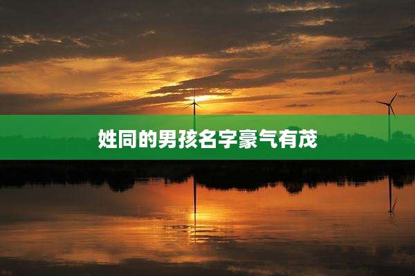 姓同的男孩名字豪气有茂