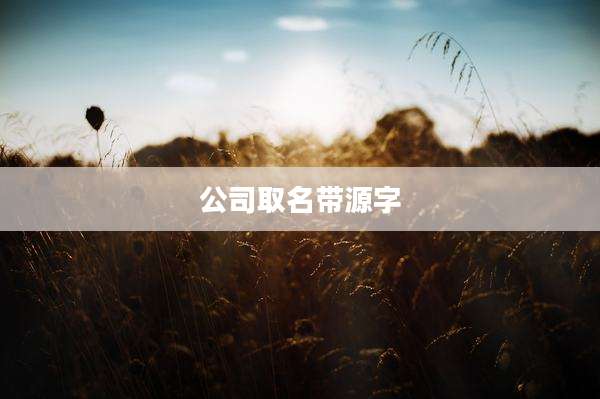公司取名带源字