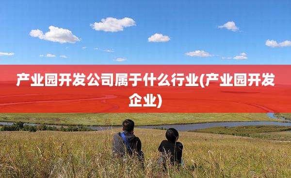 产业园开发公司属于什么行业(产业园开发企业)