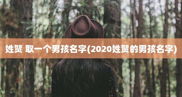 姓贺 取一个男孩名字(2020姓贺的男孩名字)