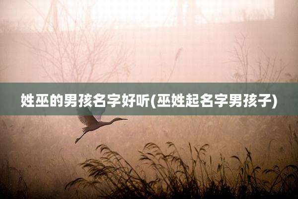 姓巫的男孩名字好听(巫姓起名字男孩子)