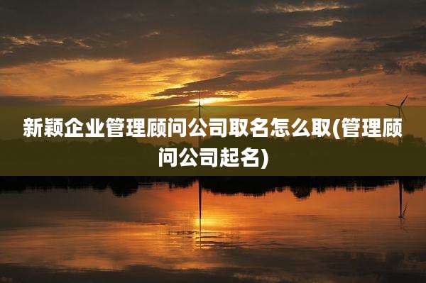 新颖企业管理顾问公司取名怎么取(管理顾问公司起名)