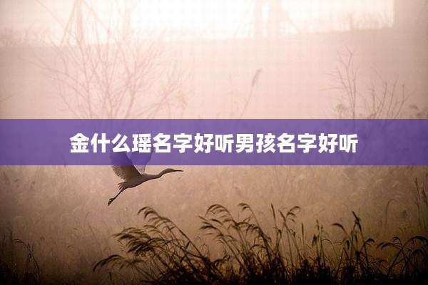 金什么瑶名字好听男孩名字好听