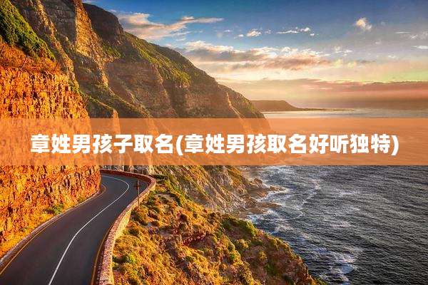 章姓男孩子取名(章姓男孩取名好听独特)