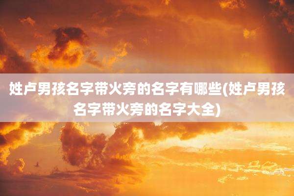 姓卢男孩名字带火旁的名字有哪些(姓卢男孩名字带火旁的名字大全)