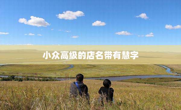 小众高级的店名带有慧字
