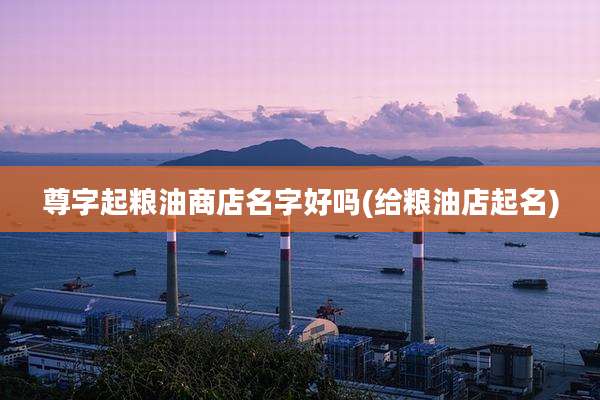 尊字起粮油商店名字好吗(给粮油店起名)