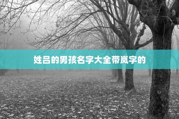 姓吕的男孩名字大全带岚字的