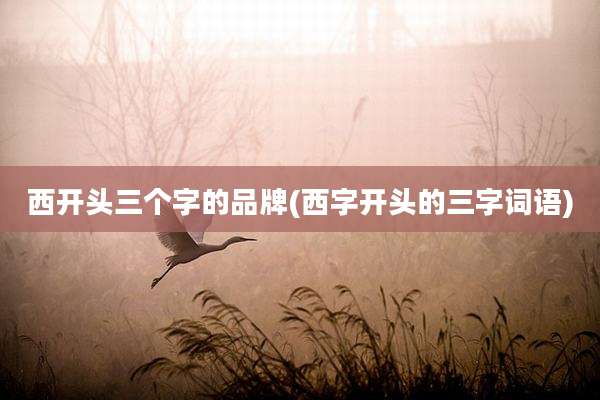 西开头三个字的品牌(西字开头的三字词语)