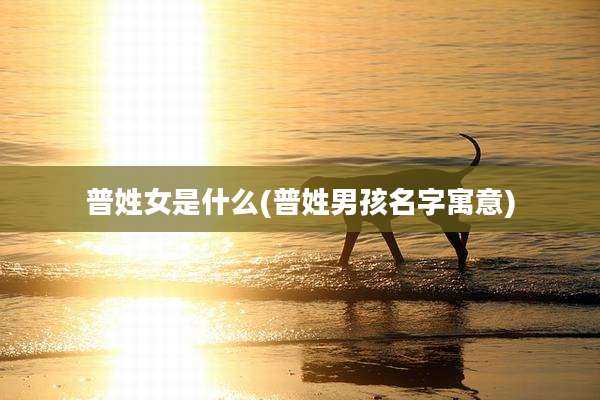 普姓女是什么(普姓男孩名字寓意)