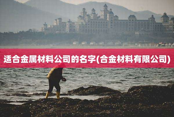 适合金属材料公司的名字(合金材料有限公司)