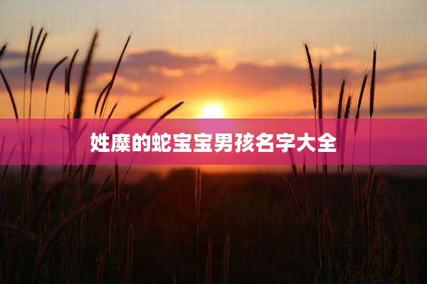 姓糜的蛇宝宝男孩名字大全