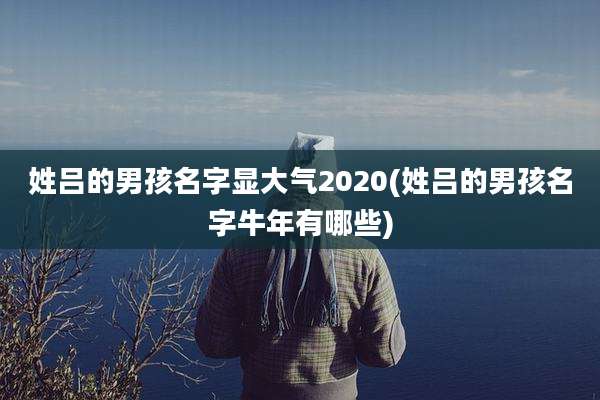 姓吕的男孩名字显大气2020(姓吕的男孩名字牛年有哪些)