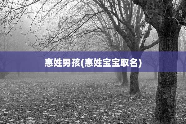 惠姓男孩(惠姓宝宝取名)