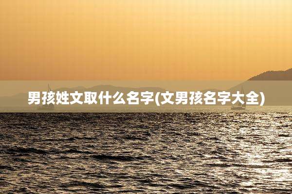 男孩姓文取什么名字(文男孩名字大全)