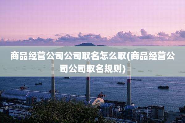 商品经营公司公司取名怎么取(商品经营公司公司取名规则)