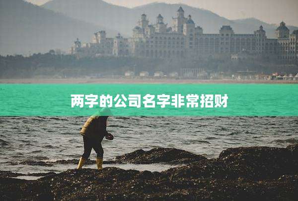两字的公司名字非常招财