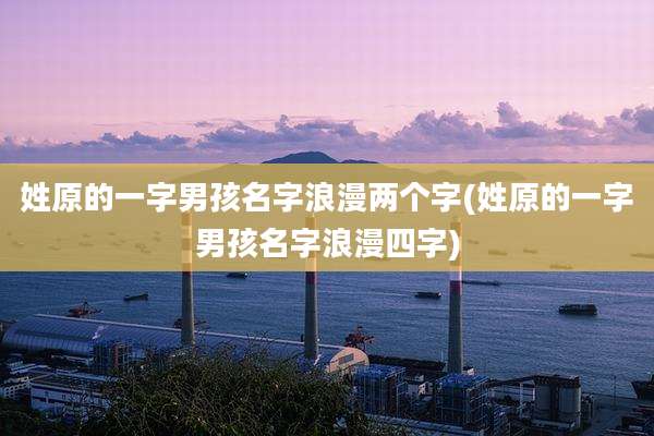 姓原的一字男孩名字浪漫两个字(姓原的一字男孩名字浪漫四字)