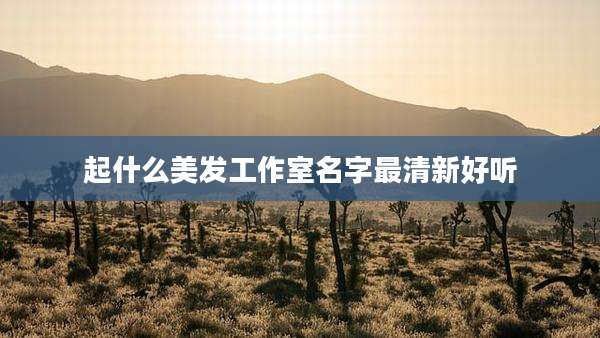 起什么美发工作室名字最清新好听