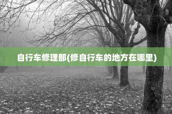自行车修理部(修自行车的地方在哪里)