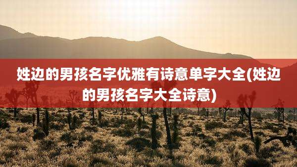 姓边的男孩名字优雅有诗意单字大全(姓边的男孩名字大全诗意)