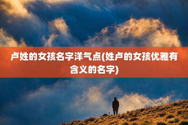 卢姓的女孩名字洋气点(姓卢的女孩优雅有含义的名字)