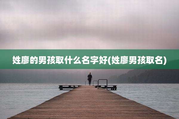 姓廖的男孩取什么名字好(姓廖男孩取名)