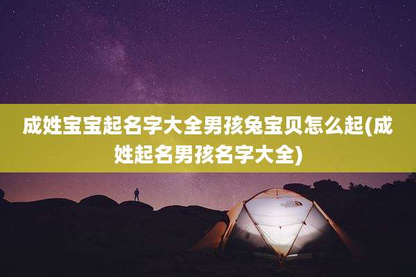 成姓宝宝起名字大全男孩兔宝贝怎么起(成姓起名男孩名字大全)