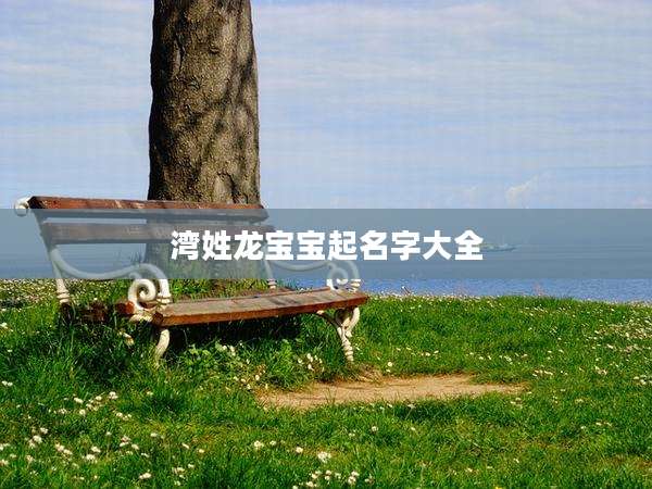 湾姓龙宝宝起名字大全