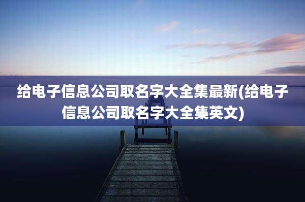 给电子信息公司取名字大全集最新(给电子信息公司取名字大全集英文)