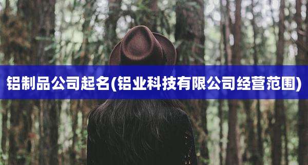 铝制品公司起名(铝业科技有限公司经营范围)