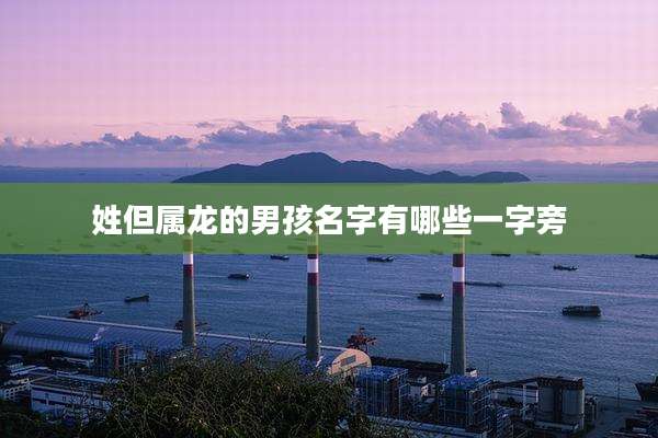 姓但属龙的男孩名字有哪些一字旁