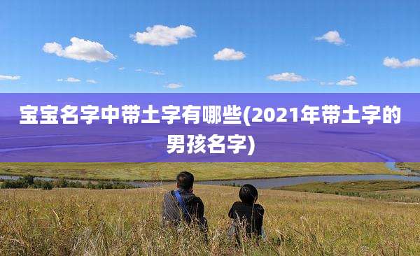 宝宝名字中带土字有哪些(2021年带土字的男孩名字)