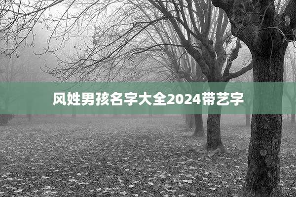 风姓男孩名字大全2024带艺字