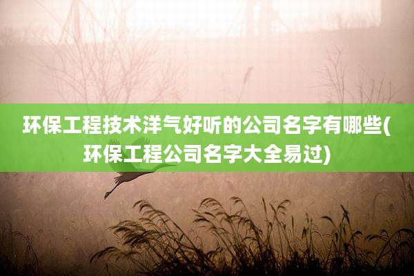 环保工程技术洋气好听的公司名字有哪些(环保工程公司名字大全易过)