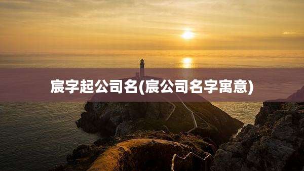 宸字起公司名(宸公司名字寓意)