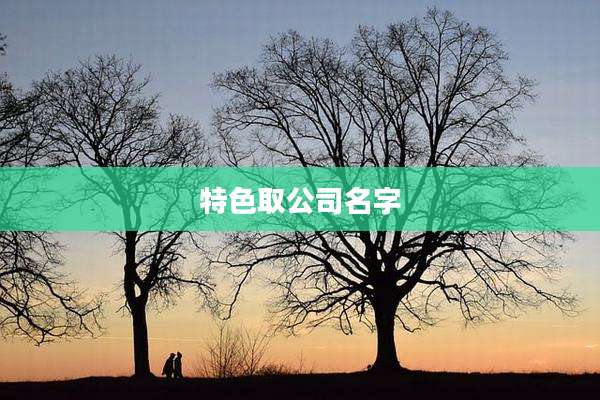 特色取公司名字