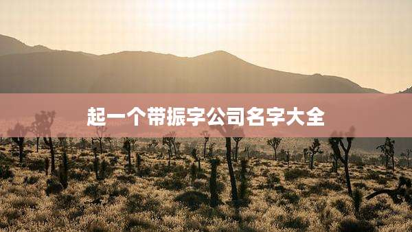 起一个带振字公司名字大全