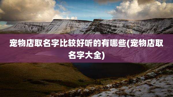 宠物店取名字比较好听的有哪些(宠物店取名字大全)